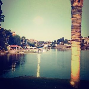 Meet your Posher, Alicia